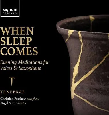 Obrázek produktu pro Orlando Gibbons (1583-1625) - Tenebrae - When Sleep Comes -   - (CD / Titel: H-Z)