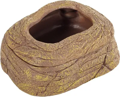 A close-up, isolated shot of a rock-shaped food and water dish for reptiles.