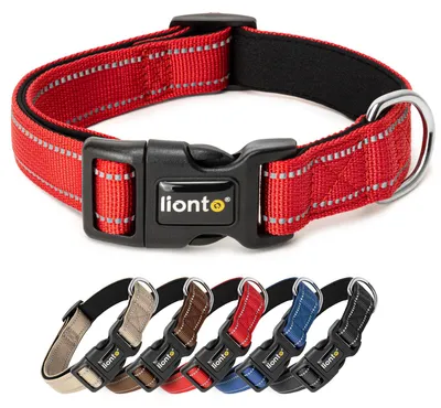Produktbild von lionto Hundehalsband, Nylon, Größe XL, gepolstert, reflektierend, rot