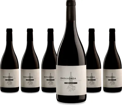 Produktbild von 6 x Barahonda Crianza Tinto