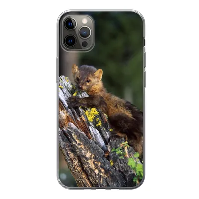 Produktbild von MuchoWow® Handyhülle Schutzhülle Hülle für iPhone 13 Pro Max Marder - Baum - Wald Silikon Softcase Handy Hülle - Mobiltelefon