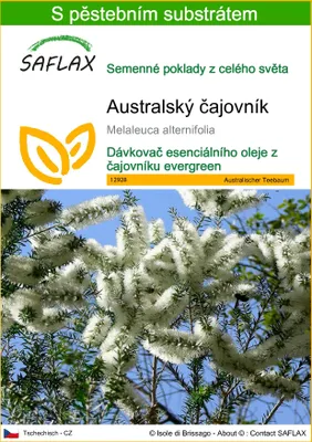 Obrázek produktu pro SAFLAX - Australský čajovník - Melaleuca alternifolia - 400 Semena - S pěstebním substrátem bez klíčků