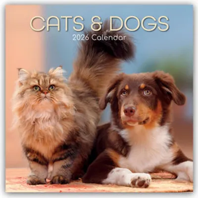 Produktbild von Gifted Stationery Co. Ltd: Cats and Dogs - Katzen und Hunde