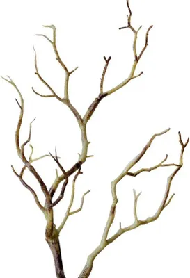 Image de Décoration végétale en plastique, gazon artificiel, figurines, lot de 3, décoration