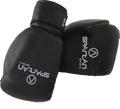 Zdjęcie produktu dla Rękawice Do Karate SPARTAN