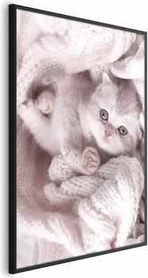 Produktbild von Posterpapier Poster - Lover of Rest 21x30 cm Tiere g-B-0137-ao-a