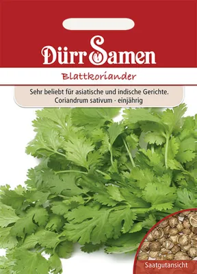 Produktbild von Dürr-Samen - Blattkoriander - Saatgut - 1932