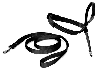 Produktbild von Nayeco Easy Walk Holder Führleine Schwarz L Schwarz L