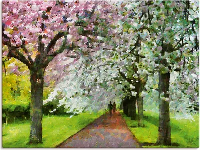 Produktbild von ARTland Leinwandbild Blühende Kirschen Größe: 60x45 cm