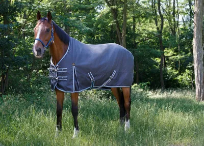 Produktbild von Equithème Tyrex 1200D 0g - grau/blau