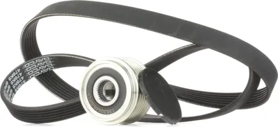 Produktbild von RIDEX 542R0439 Keilrippenriemensatz für RENAULT CLIO II (BB0/1/2, CB0/1/2)
