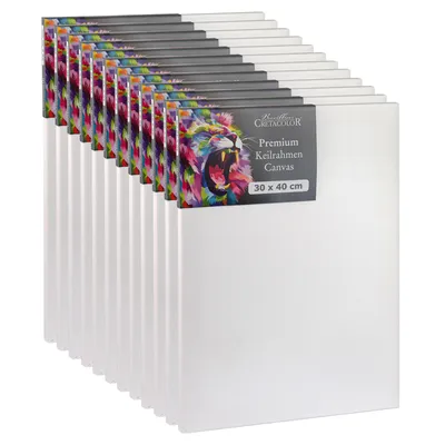Obrázok produktu pre Cretacolor napínacie rámy 30 x 40 cm – 12 ks – sada plátien – prémiové maliarske plátno na drevenom ráme – bavlnené plátno pre akryl, olej a zmiešané techniky