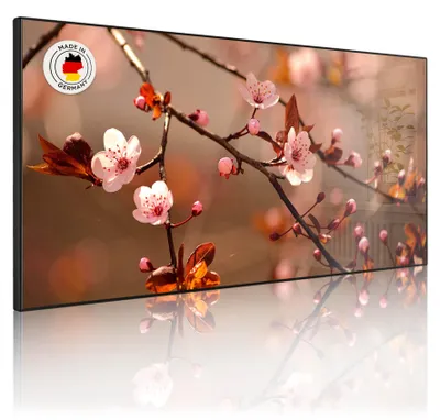 Produktbild von Metall Magnettafel beschreibbar 78x37cm Motiv Blühender Kirschzweig [MTSCHQ 12287]