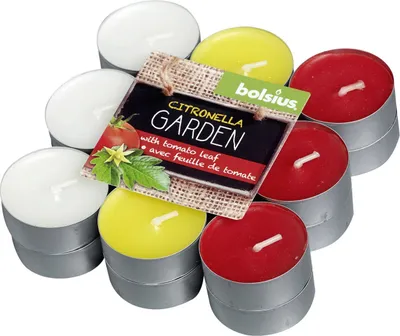 Produktbild von Bolsius Teelichte Tomatenblatt 18 Stück