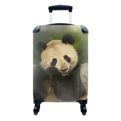 Produktbild von MuchoWow® Koffer Handgepäck Trolley Rollkoffer Kleine Reisekoffer mit 4 Rollen - Panda - Tier - Weiß - Cabin Size < 55x40x23 cm & 55x40x20 cm - Fotokoffer - Kabinenkoffer - Boardgepäck - Reise-Box - Reisekoffer - Reisegepäck - Koffer mit Bild - Trolley für Kinder