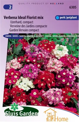 Immagine prodotto di Semi Verbena Ideal Florist Mix - verbena compatta per una fioritura colorata - ideale per balconi, giardini e vasi