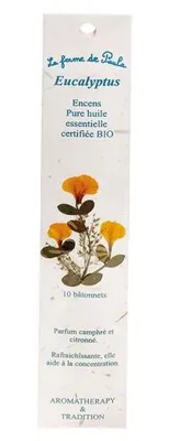 Image de Encens Indien Eucalyptus Bio X 10 - Ecodis