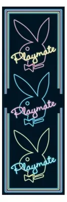 Obrázek produktu pro PLAYBOY – PLAYMATE NEON – 53 x 158 cm – Plakát