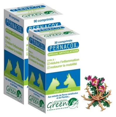 Produktbild von Gelenkpräparat - Pernacox