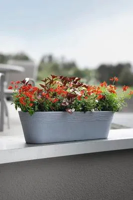 Produktbild von Blumenschale geli Napoli Kunststoff 59 x 19,5 x 16 cm betongrau