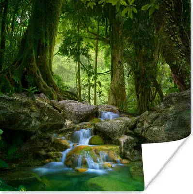 Produktbild von MuchoWow® Poster Dschungel - Steine - Wasser - Natur - Pflanzen 100x100 cm - Babyzimmer