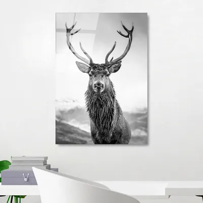 Produktbild von Wallity, UV-455 50 x 70, Dekorative Malerei aus gehärtetem Glas, 100 % gehärtetes Glas, Mehrfarbig, 50 x 70 cm