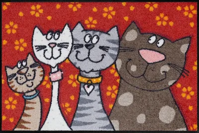 Produktbild von Salonloewe KATZENFAMILIE Fußmatte Wohnmatte 50 x 75 cm