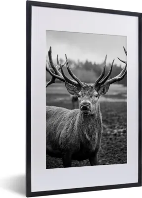 Produktbild von MuchoWow® Gerahmtes Poster Tiere - Hirsch - Geweih - Schwarz und weiß - Natur 40x60 cm - Poster mit Schwarzem Bilderrahmen Wandposter Rahmen Foto Bilder - Poster in Rahmen
