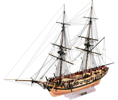 Imagen del producto de Kit de modelismo HMS Speedy, escala 1:64
