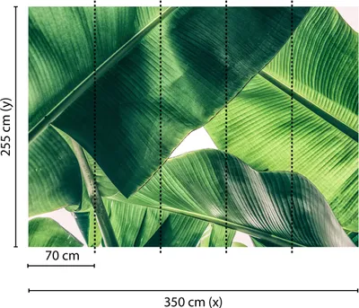 Produktbild von Tadessi Fototapete | Natur | 3.50 m x 2.55 m | Grün | Weiß | Wandbild | Digitaldruck