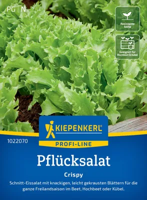 Artikelbild 2 von 'Pflücksalat Crispy' aus der Kategorie Pflücksalatsamen