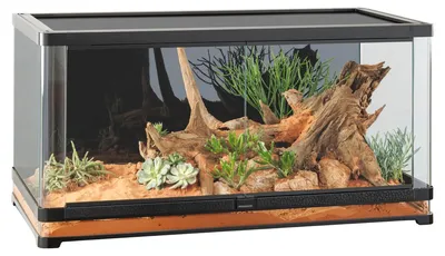 Produktbild von Terrarium, Paludarium Exo Terra EX Vista 120XL - 120 x 60 x 60 cm Panoramaterrarium mit abgerundete Glasfrontecken für e