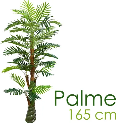 Immagine prodotto di Palmizio Palma Pianta Albero Artificiale Plastica 165cm Decovego