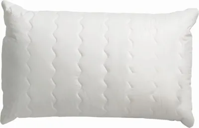 Produktbild von Centa-Star extra 4355.00 Aqua Aktiv Kissen 40x60 cm