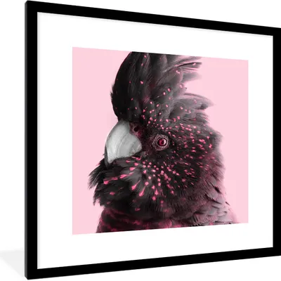 Produktbild von MuchoWow® MuchoWow® Gerahmtes Poster Kakadu - Rosa - Schwarz 40x40 cm - Poster mit zchwarzem Bilderrahmen - Poster - Plakat im Rahmen