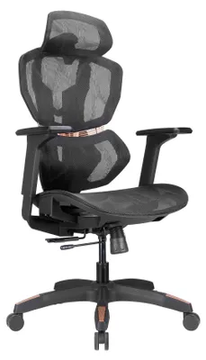 Image de Chaise Gaming avec accoudoirs 4D