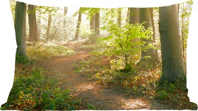 Produktbild von MuchoWow® Zierkissen Sofakissen Wohnzimmer Dekokissen 50x30 cm Wald - Bäume - Weg - Sonne - Pflanzen - Laub - Natur - Wohnzimmerdekoration - Polster mit Photo