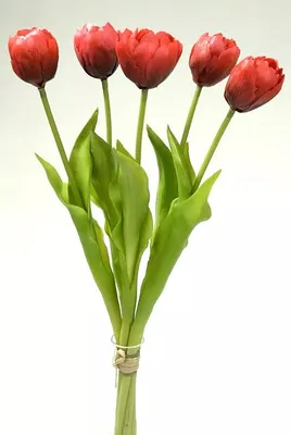 Produktbild von Tulpenbund Real Touch 43cm rot Paeonientulpen künstliche Blumen Tulpen 5Stiele