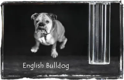 Produktbild von Bulldog, Englische Bulldogge - Stifthalter, Kristallorganizer mit Hundefoto, einzigartige Schreibtischdekoration der Marke Art-Dog