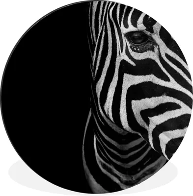 Produktbild von MuchoWow® Aluminium Wandkreis Tiere - Zebra - Schwarz - Weiß Ø 60 cm Wanddeko Modern Wohnzimmer - Wand Kreis - Wandbild - Schlafzimmer - Aluminium Bild - Kinderzimmer - Wohnzimmer Dekoration - Wandschmuck