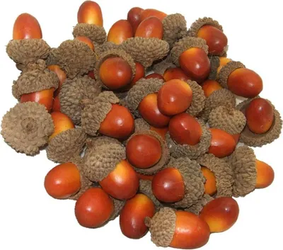 Produktbild von Herbstdeko kunstliche Eicheln - Tischdeko für Zuhause - Holz - 50 Stück (braun)