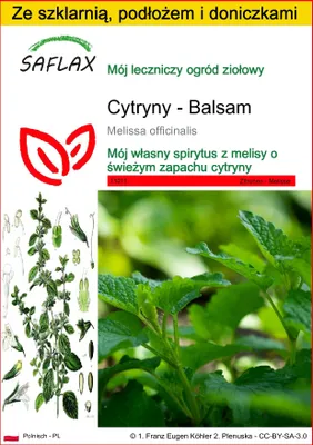 Zdjęcie produktu dla SAFLAX - Zestaw do uprawy - Cytryny - Balsam - 150 Nasiona - Z mini szklarnią, podłożem uprawowym i 2 doniczkami - Melissa officinalis