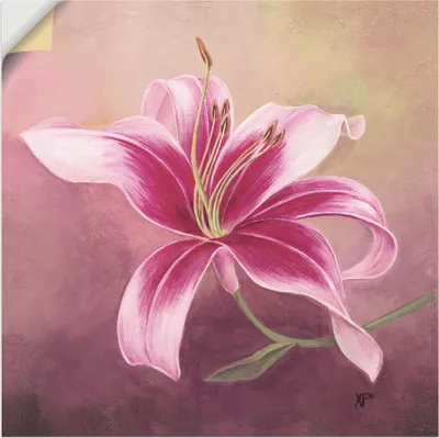 Produktbild von ARTland Wandbild, selbstklebend Frühe Lilie Größe: 70x70 cm