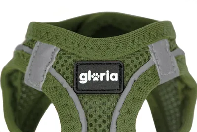 Zdjęcie produktu dla Szelki dla psów Gloria 51–52 cm, zielone, długość 33,4–35 cm