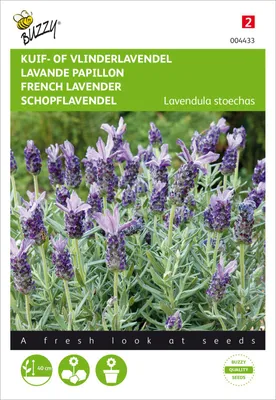Produktbild von Schopflavendel | Lavendelsamen von Buzzy Seeds