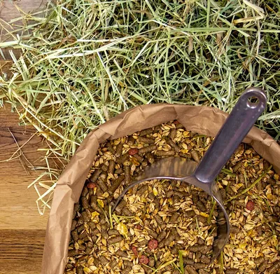 Produktbild von 30 kg Deukavallo Pferdemüsli XXL