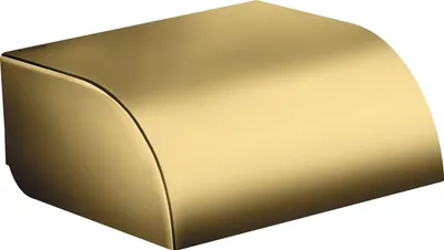 Produktbild von AXOR 42858990 Toilettenpapierhalter mit Deckel