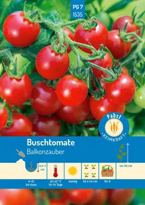 Produktbild von Buschtomate Balkonzauber | Buschtomatensamen von Carl Pabst