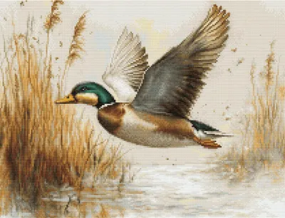 Produktbild von Luca-S Gobelin Stickpackung "Goldener Flug", Zählmuster, 21x16cm