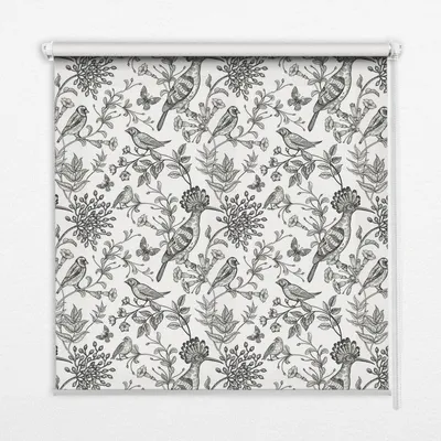 Produktbild von Seitenzug-Rollo Fensterrollo Jalousie - Lichtdurchlässig Springrollos - 80x240 cm - Gezeichnete Vögel und Pflanzen